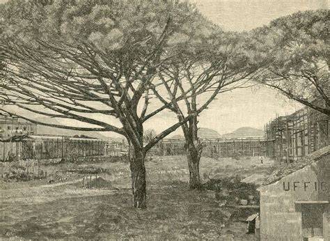 Veduta di un edificio dell'Esposizione Nazionale di Palermo del 1891