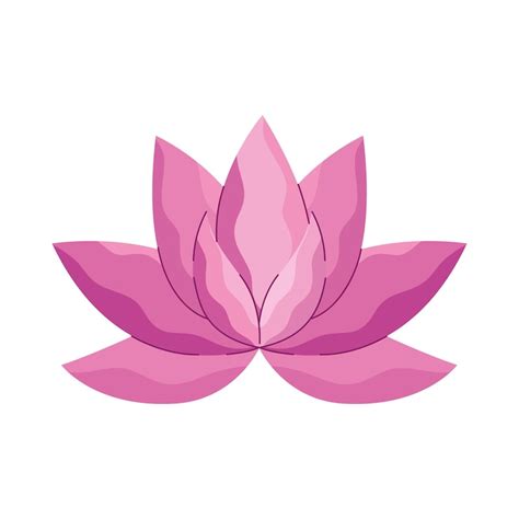 Fiore di loto aperto, simbolo di purezza buddhista