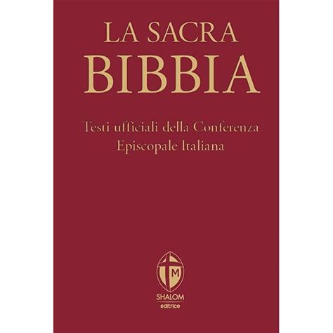 Foto ravvicinata della copertina della Bibbia Neocatecumenale con l'icona della Madonna con Bambino di Kiko Argüello, con dettaglio della chiusura a bottoncino.