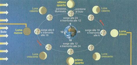 Diagramma delle fasi lunari e l'allineamento Terra-Luna-Sole durante un ciclo sinodico