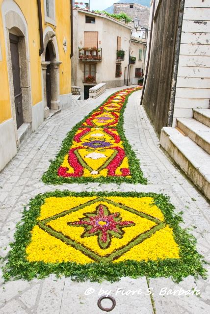 Infiorata del Corpus Domini a Cusano Mutri: vista generale dei tappeti floreali colorati per le strade del borgo antico.