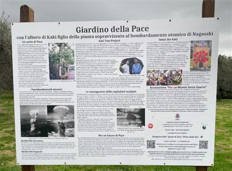 Infografica sul tema 