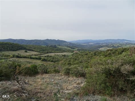 Panorama dalla collina di San Michele alle Formiche