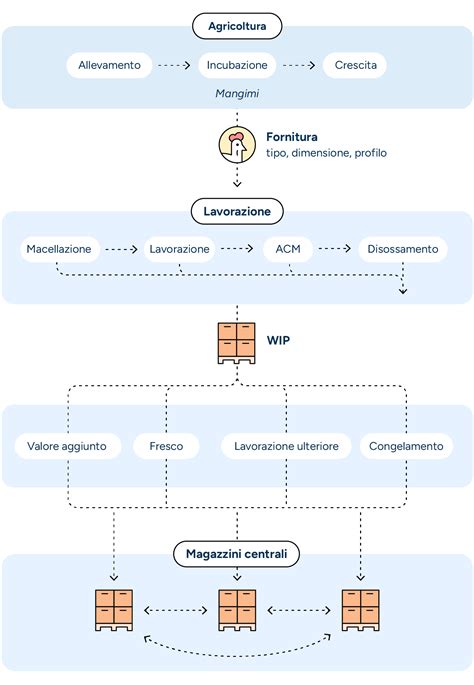Grafica che illustra le fasi della consegna a domicilio