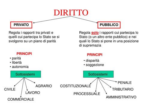 Infografica sulle diverse branche del diritto penale