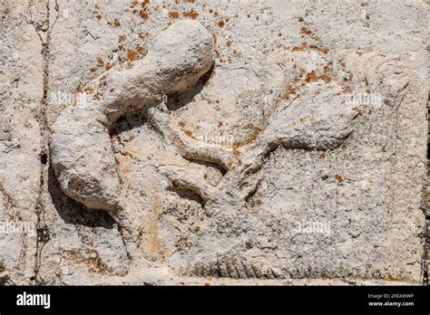 Dettaglio scultoreo del fregio con la 