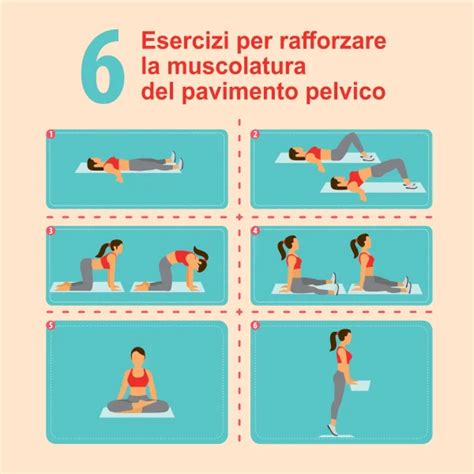 infografica sulle patologie del pavimento pelvico