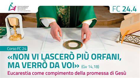 Infografica che mostra le circostanze in cui è richiesto un ministro straordinario dell'eucaristia (es. messa affollata, malati)