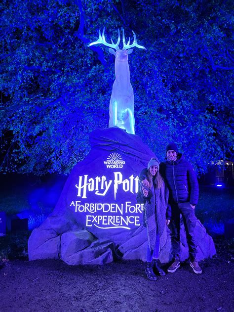 Harry Potter nella Foresta Proibita prima dello scontro finale