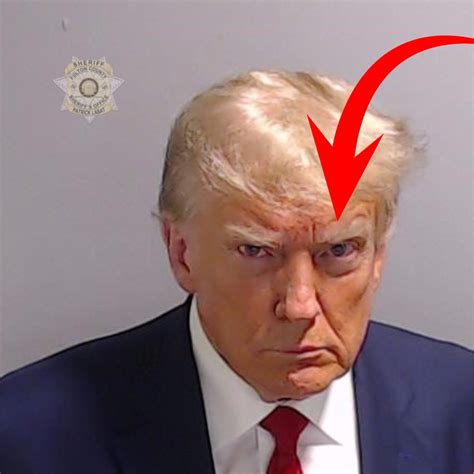 Foto segnaletica di Pietro Campo.