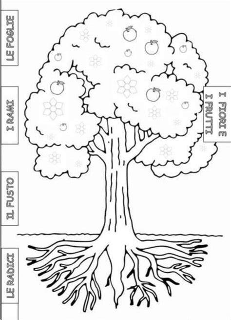 Albero etimologico del nome Mady, mostrando le sue radici in Madeline, Madeleine e Madison