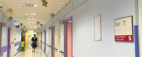 Schema della riorganizzazione ospedaliera in Calabria con focus sui punti nascita