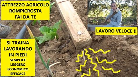 Metafora del campo da dissodare pieno di spine per una nuova semina