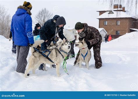Mushing con cani husky sulla neve