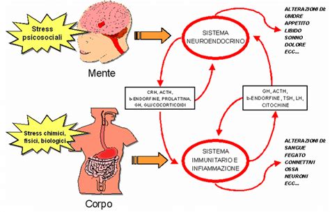 Schema illustrativo dei fattori di stress operativo (fisici, ambientali e psicologici) nelle missioni militari