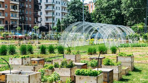 fotografia di orti urbani in una città moderna