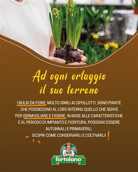 Ortolano che lavora un terreno o un giardino