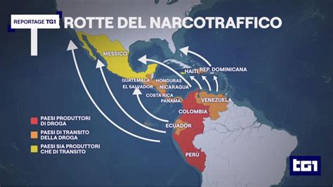 Infografica sulla corruzione e i flussi di denaro nel narcotraffico