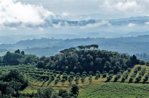 Foto panoramica dell'agriturismo La Capezzagna con vigne e uliveti