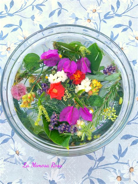 Composizione di erbe e fiori per l'acqua di San Giovanni