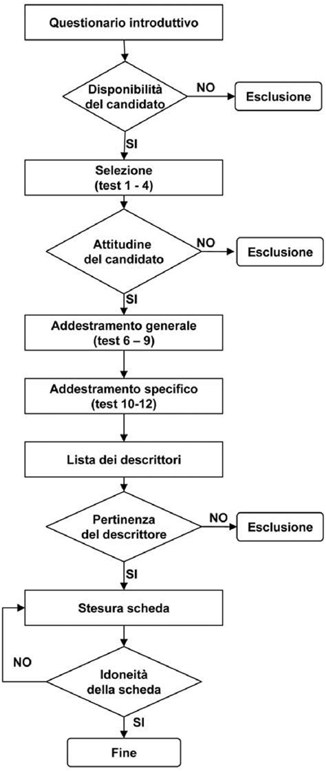 Schema a flowchart della metodologia 
