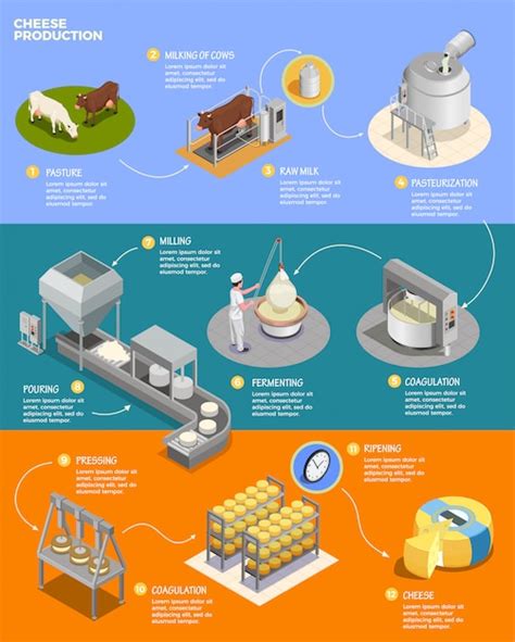Infografica sul processo di produzione del formaggio Tamié