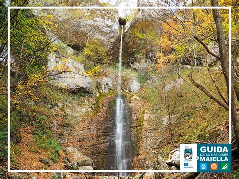 panoramica della valle del torrente Vesola con faggete rigogliose