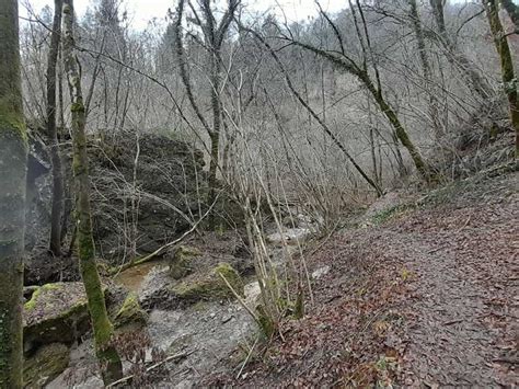 sentiero F2 che costeggia il torrente Vesola tra faggi secolari