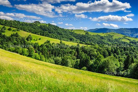 Paesaggio galiziano con campi verdi e boschi