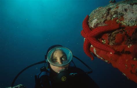 Subacquei esplorano i fondali della Riserva Marina Isole Ciclopi