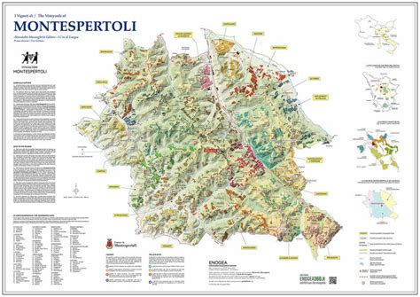 Mappa schematica dei vigneti di Ca' del Monte nella Valpolicella Classica