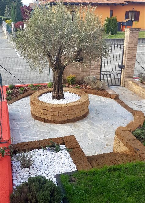 Illustrazione di un herbulario medievale o il giardino FAI a Benevento