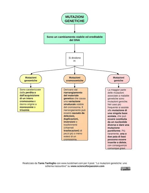 Schema che illustra le mutazioni genetiche e il rischio di tumori