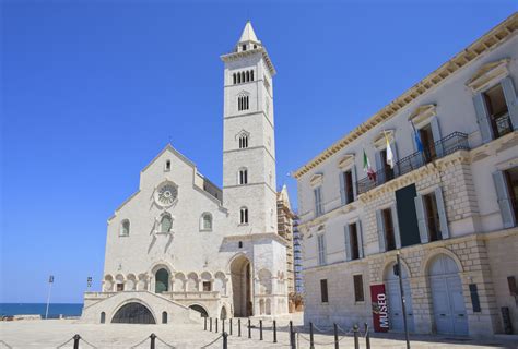 Sezione verticale illustrativa della Cattedrale di Trani, mostrando la chiesa superiore e gli ambienti sottostanti