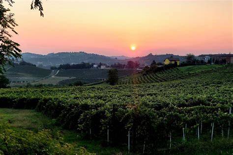 Veduta panoramica delle colline vitivinicole di Agliano Terme, patrimonio UNESCO