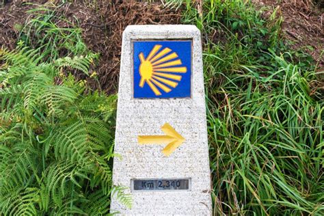 Simbolo della concha o vieira del Cammino di Santiago