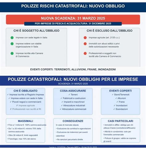 Infografica che riassume le caratteristiche dei monolocali in affitto