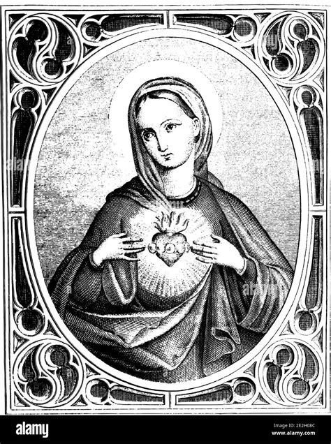Illustrazione di Maria che medita nel suo cuore