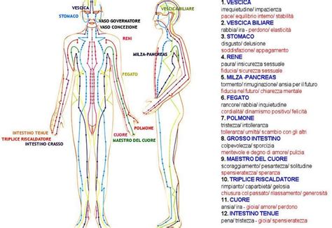 schema medico cinese dei canali energetici