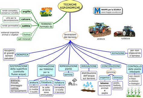 Schema grafico che mostra i vari strumenti tradizionali della novena siciliana