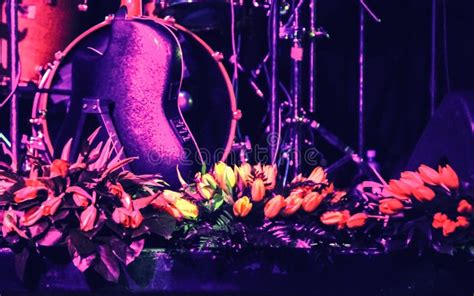 Foto di un'orchestra femminile sul palco con strumenti musicali