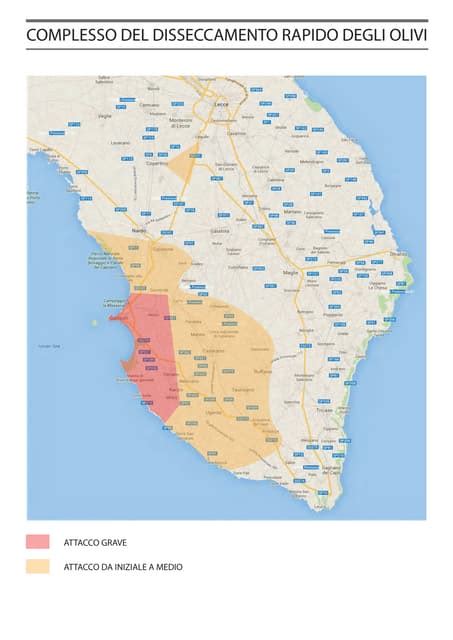 Mappa delle zone colpite dall'incendio nella Nurra e Sassarese
