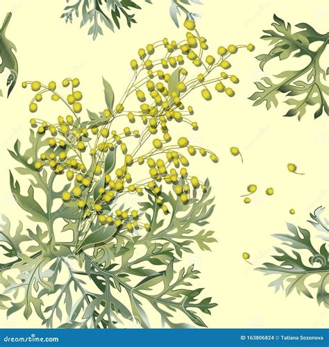 illustrazione botanica dell'Artemisia absinthium con dettagli di foglie e fiori
