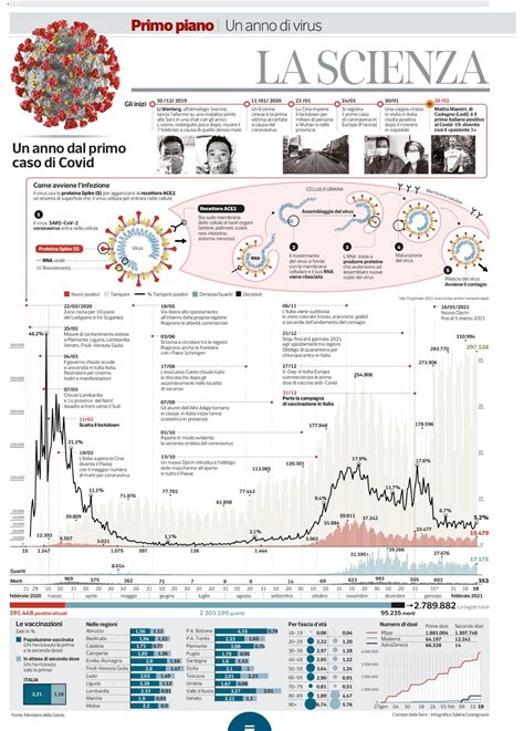 Infografica che riassume il caso