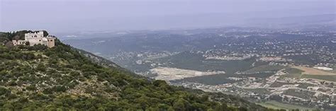 Veduta panoramica del Monte Carmelo in Israele, con la sua vegetazione lussureggiante