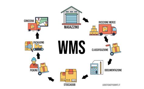 Schema logistico che illustra il percorso della merce dal magazzino Due Esse Distribuzioni fino alla consegna finale