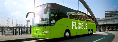 Infografica sui servizi offerti a bordo degli autobus FlixBus