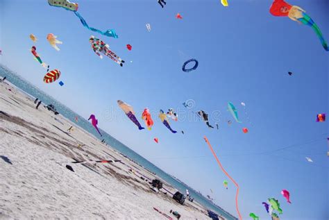 Aquiloni colorati che volano sulla spiaggia durante un festival
