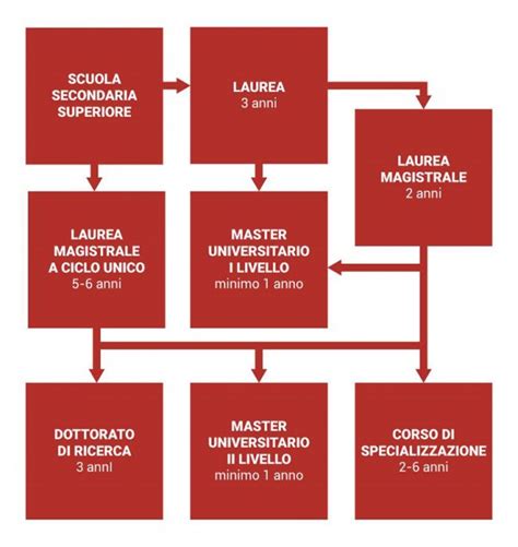 Infografica: Rami di studio accademici