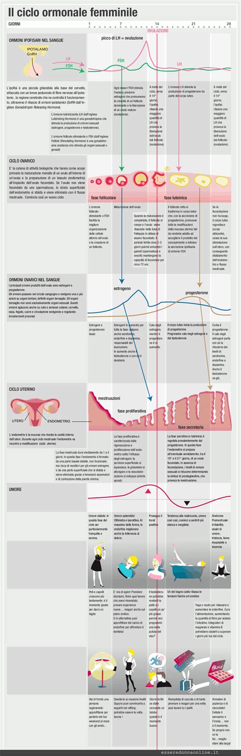 Infografica: Ciclo ormonale femminile e variazioni in menopausa
